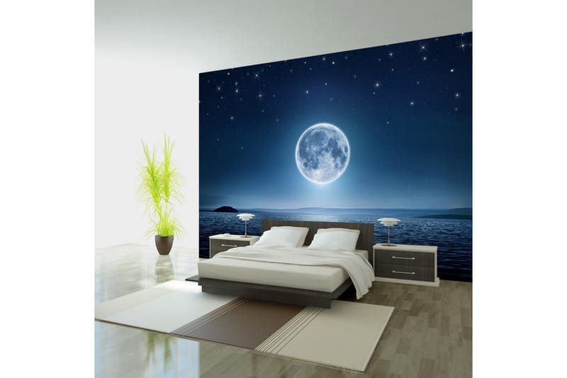 Fototapet Moonlit Night 350x245 - Artgeist sp. z o. o. - Inredning - Väggdekor - Tapet & tapettillbehör - Fototapet