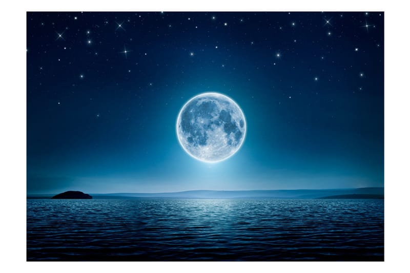 Fototapet Moonlit Night 400x280 - Artgeist sp. z o. o. - Inredning - Väggdekor - Tapet & tapettillbehör - Fototapet