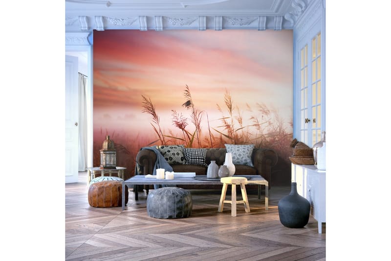 Fototapet Morgon Äng 300x231 - Artgeist sp. z o. o. - Inredning - Väggdekor - Tapet & tapettillbehör - Fototapet