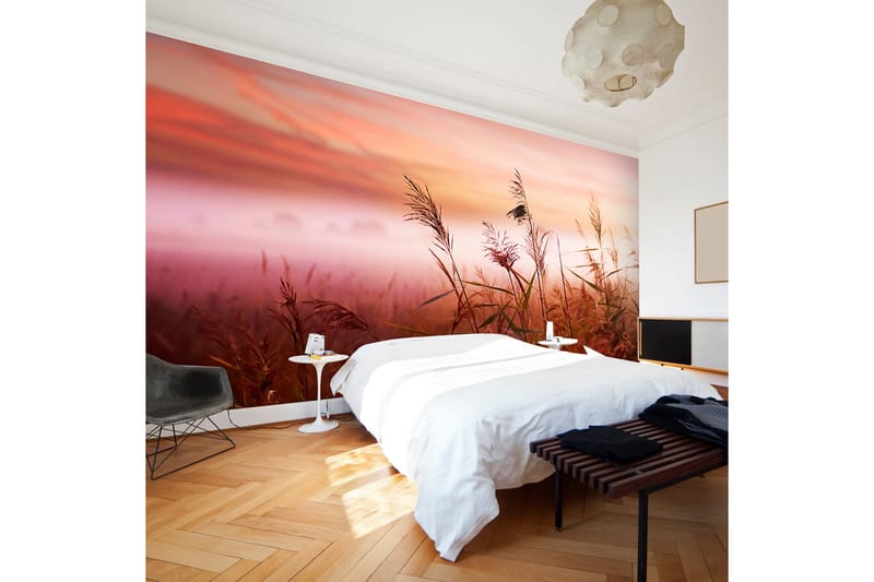 Fototapet Morgon Äng 450x270 - Artgeist sp. z o. o. - Inredning - Väggdekor - Tapet & tapettillbehör - Fototapet