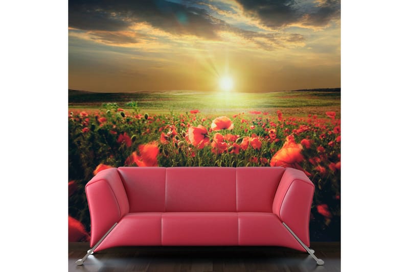 Fototapet Morgon På Vallmo Äng 200x154 - Artgeist sp. z o. o. - Inredning - Väggdekor - Tapet & tapettillbehör - Fototapet