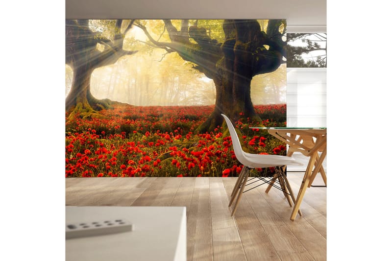 Fototapet Morning Among Poppies 250x175, Artgeist sp. z o. o.