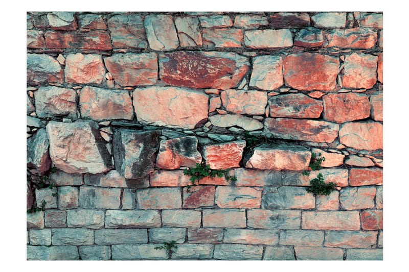 Fototapet Morning Dance 150x105 - Artgeist sp. z o. o. - Inredning - Väggdekor - Tapet & tapettillbehör - Fototapet