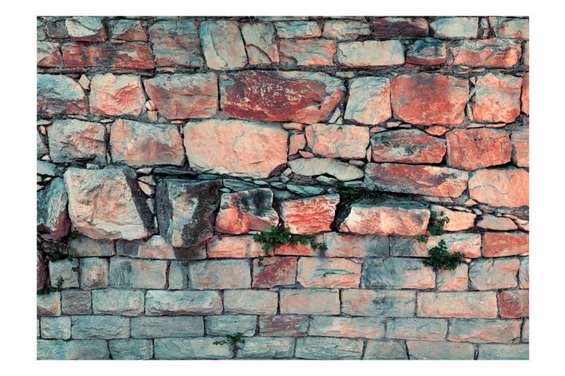 Fototapet Morning Dance 150x105 - Artgeist sp. z o. o. - Inredning - Väggdekor - Tapet & tapettillbehör - Fototapet