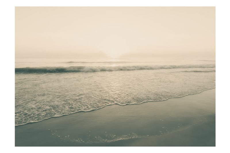 Fototapet Morning Kiss 150x105 - Artgeist sp. z o. o. - Inredning - Väggdekor - Tapet & tapettillbehör - Fototapet