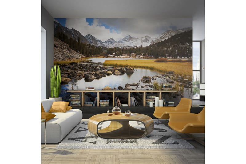 Fototapet Mountain Stream 250x193 - Artgeist sp. z o. o. - Inredning - Väggdekor - Tapet & tapettillbehör - Fototapet