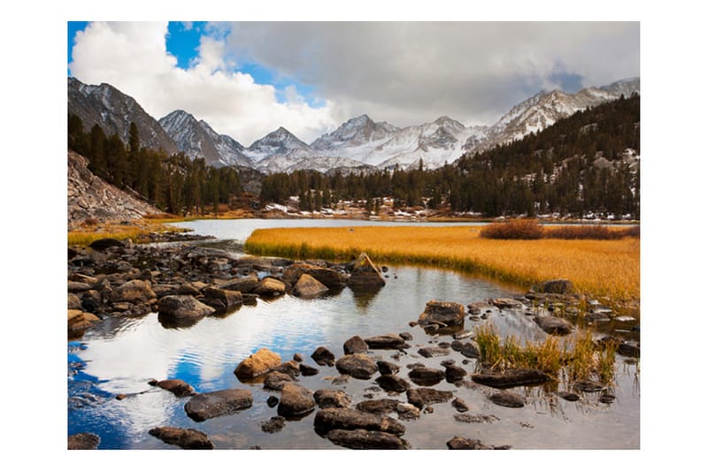 Fototapet Mountain Stream 250x193 - Artgeist sp. z o. o. - Inredning - Väggdekor - Tapet & tapettillbehör - Fototapet