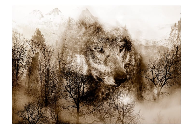Fototapet Mountain Predator Brown 350x245, Artgeist sp. z o. o.