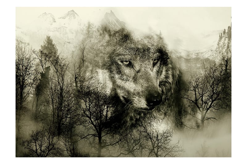 Fototapet Mountain Predator Beige 250x175 - Artgeist sp. z o. o. - Inredning - Väggdekor - Tapet & tapettillbehör - Fototapet