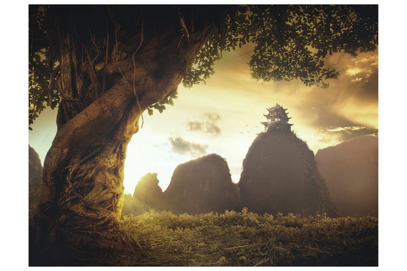 Fototapet Mysterious China 250x193 - Artgeist sp. z o. o. - Inredning - Väggdekor - Tapet & tapettillbehör - Fototapet