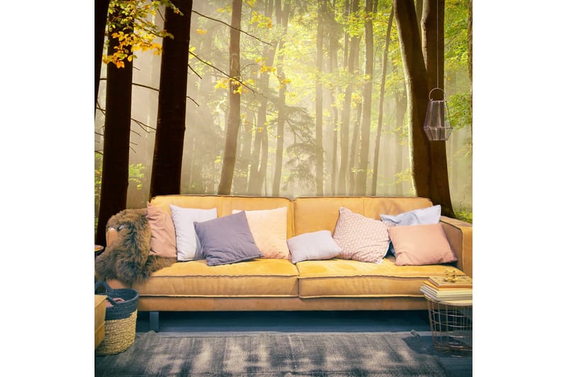 Fototapet Mysterious Forest Path 250x193, Artgeist sp. z o. o.