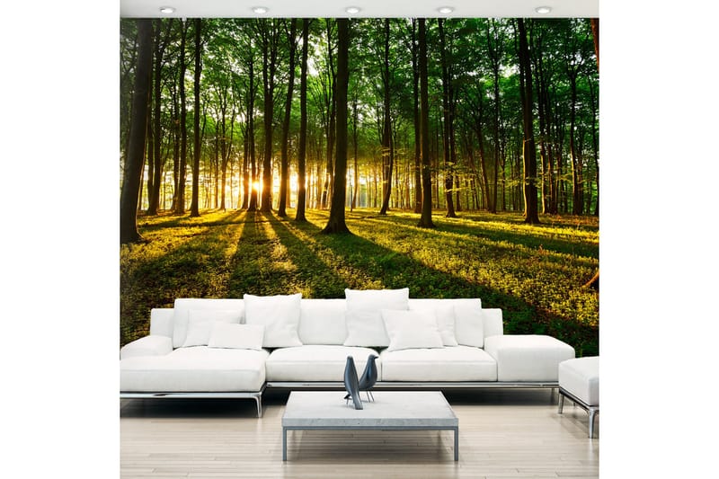 Fototapet Mystical Morning 100x70, Artgeist sp. z o. o.