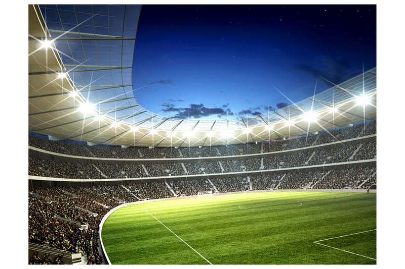 Fototapet National Stadium 350x270 - Artgeist sp. z o. o. - Inredning - Väggdekor - Tapet & tapettillbehör - Fototapet