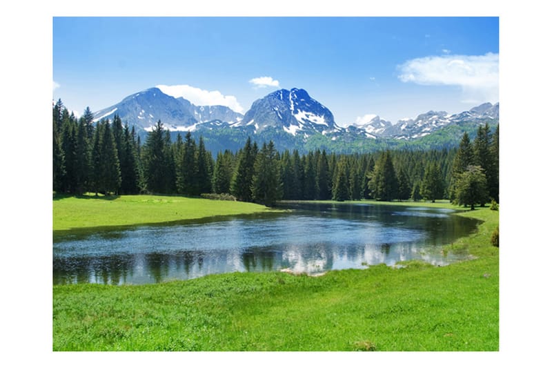 Fototapet National Park Durmitor Montenegro 300x231 - Artgeist sp. z o. o. - Inredning - Väggdekor - Tapet & tapettillbehör - Fototapet