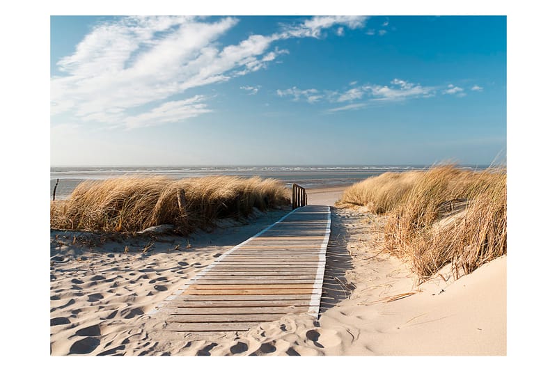 Fototapet Nordsjöns Strand Langeoog 200x154 - Artgeist sp. z o. o. - Inredning - Väggdekor - Tapet & tapettillbehör - Fototapet