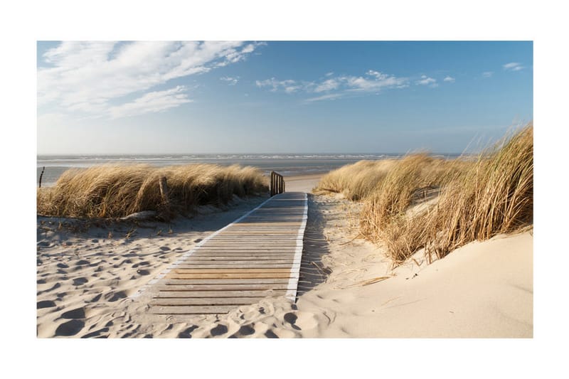 Fototapet Nordsjöns Strand Langeoog 450x270 - Artgeist sp. z o. o. - Inredning - Väggdekor - Tapet & tapettillbehör - Fototapet
