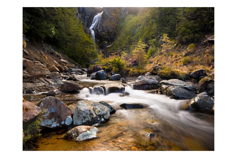 Fototapet Ohakune Waterfalls In New Zealand 200x154 - Artgeist sp. z o. o. - Fototapet