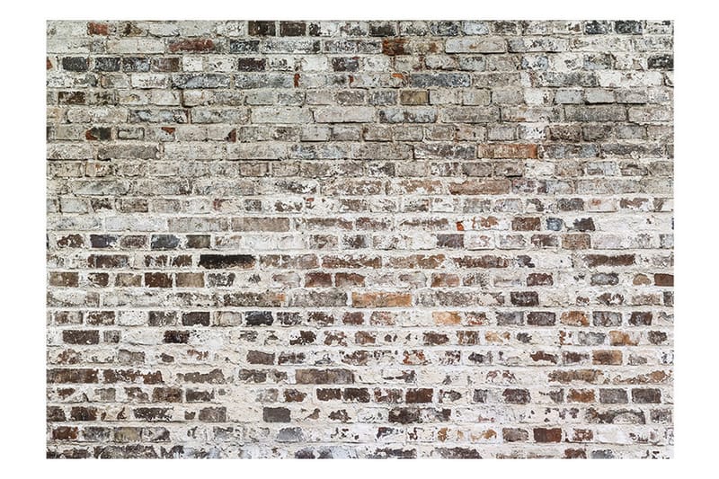 Fototapet Old Walls 350x245 - Artgeist sp. z o. o. - Inredning - Väggdekor - Tapet & tapettillbehör - Fototapet