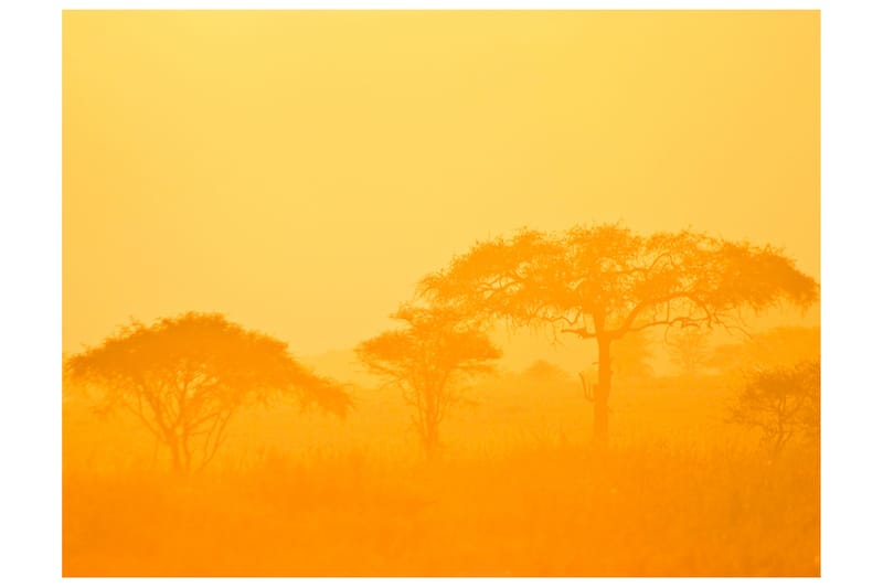 Fototapet Orange Savanna 300x231 - Artgeist sp. z o. o. - Inredning - Väggdekor - Tapet & tapettillbehör - Fototapet