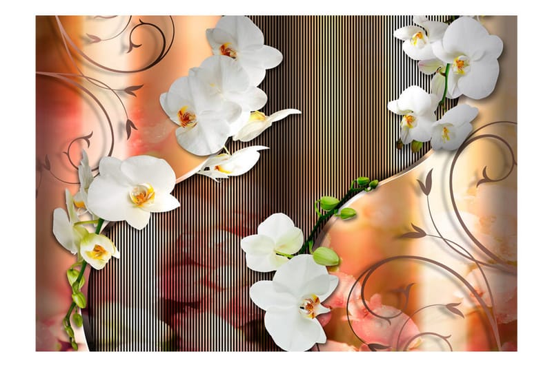 Fototapet Orchid 400x280 - Artgeist sp. z o. o. - Inredning - Väggdekor - Tapet & tapettillbehör - Fototapet