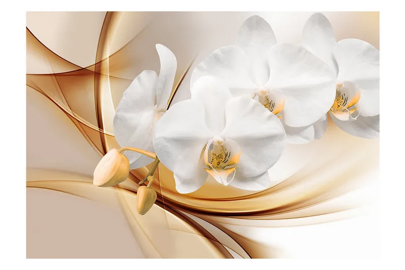 Fototapet Orchid Blossom 200x140 - Artgeist sp. z o. o. - Inredning - Väggdekor - Tapet & tapettillbehör - Fototapet