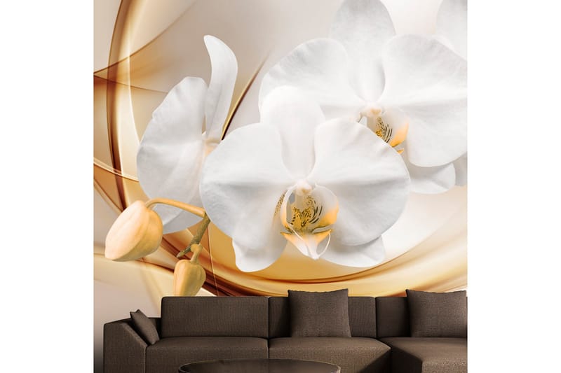 Fototapet Orchid Blossom 300x210 - Artgeist sp. z o. o. - Inredning - Väggdekor - Tapet & tapettillbehör - Fototapet