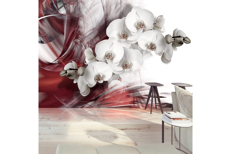 Fototapet Orchid In Red 350x245 - Artgeist sp. z o. o. - Inredning - Väggdekor - Tapet & tapettillbehör - Fototapet