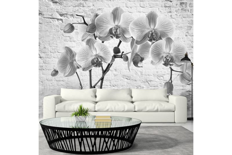 Fototapet Orchid In Shades Of Gray 150x105 - Artgeist sp. z o. o. - Inredning - Väggdekor - Tapet & tapettillbehör - Fototapet