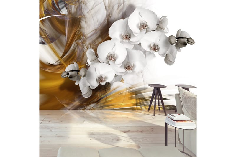 Fototapet Orchid On Fire 250x175, Artgeist sp. z o. o.