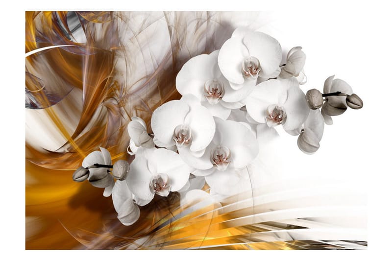 Fototapet Orchid On Fire 300x210 - Artgeist sp. z o. o. - Inredning - Väggdekor - Tapet & tapettillbehör - Fototapet