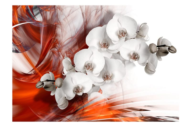Fototapet Orchid On Fire II 100x70 - Artgeist sp. z o. o. - Inredning - Väggdekor - Tapet & tapettillbehör - Fototapet