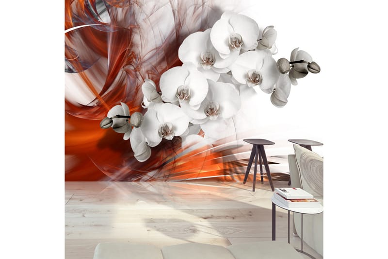 Fototapet Orchid On Fire II 150x105 - Artgeist sp. z o. o. - Inredning - Väggdekor - Tapet & tapettillbehör - Fototapet