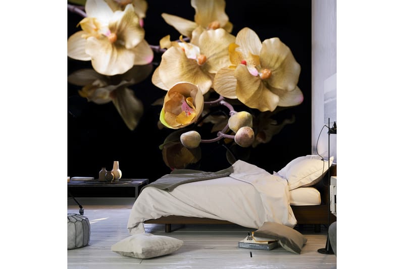 Fototapet Orchids In Ecru Color 200x154 - Artgeist sp. z o. o. - Fototapet