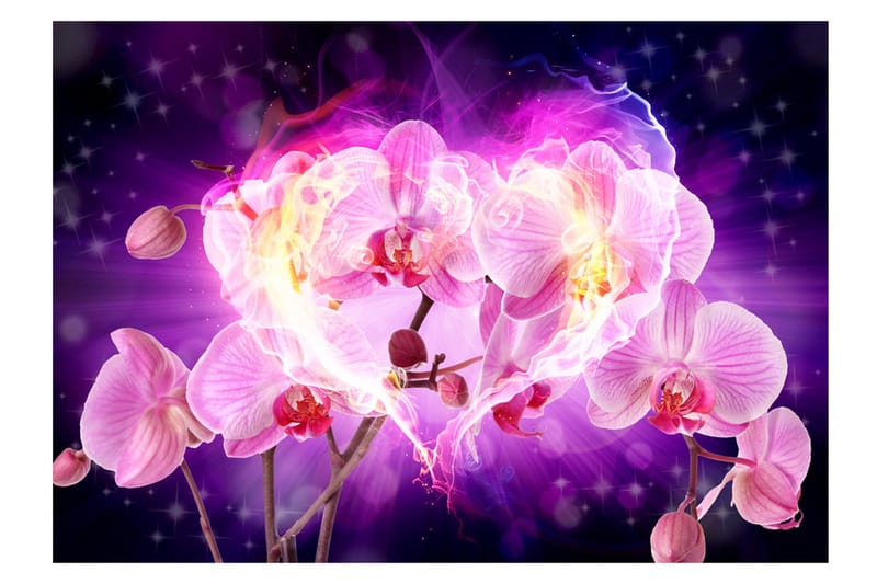 Fototapet Orchids In Flames 150x105 - Artgeist sp. z o. o. - Inredning - Väggdekor - Tapet & tapettillbehör - Fototapet