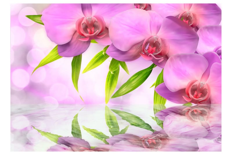 Fototapet Orchids In Lilac Colour 200x140 - Artgeist sp. z o. o. - Inredning - Väggdekor - Tapet & tapettillbehör - Fototapet