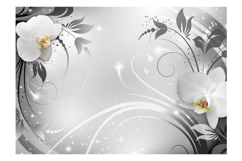 Fototapet Orchids On Silver 150x105 - Artgeist sp. z o. o. - Inredning - Väggdekor - Tapet & tapettillbehör - Fototapet