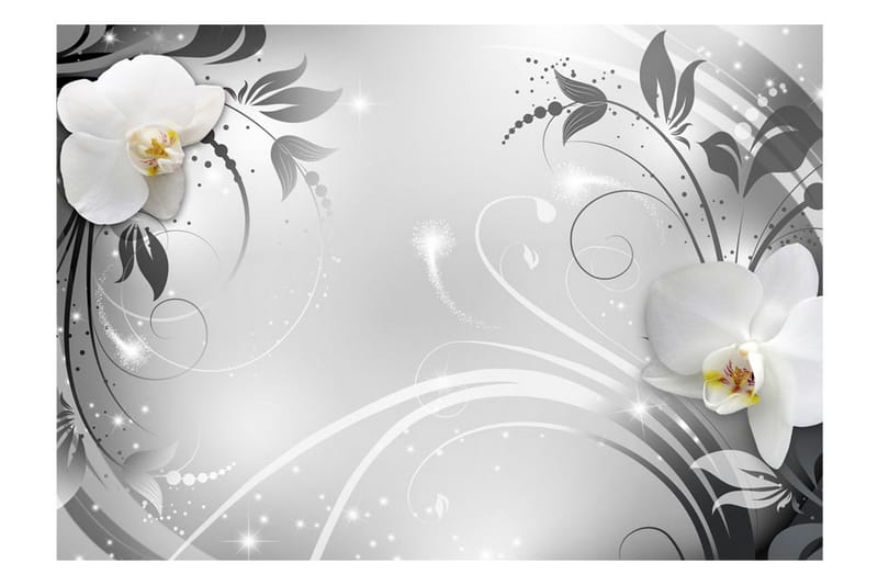 Fototapet Orchids On Silver 200x140 - Artgeist sp. z o. o. - Inredning - Väggdekor - Tapet & tapettillbehör - Fototapet