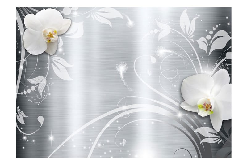 Fototapet Orchids On Steel 300x210 - Artgeist sp. z o. o. - Inredning - Väggdekor - Tapet & tapettillbehör - Fototapet