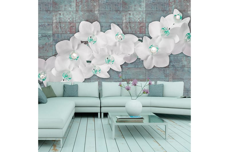 Fototapet Orchids With Pearls 400x280, Artgeist sp. z o. o.