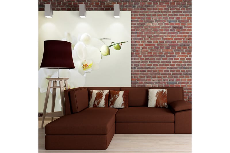 Fototapet Orchidwhite 200x154, Artgeist sp. z o. o.