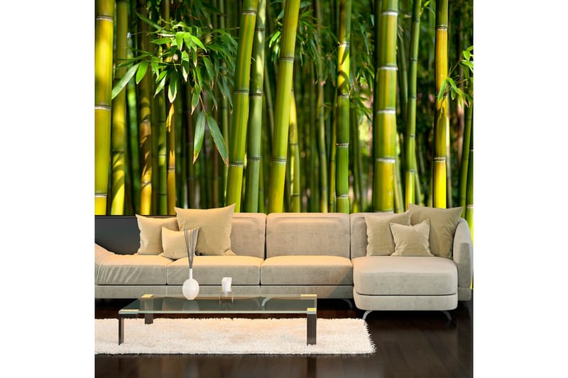 Fototapet Oriental Garden 400x280 - Artgeist sp. z o. o. - Inredning - Väggdekor - Tapet & tapettillbehör - Fototapet