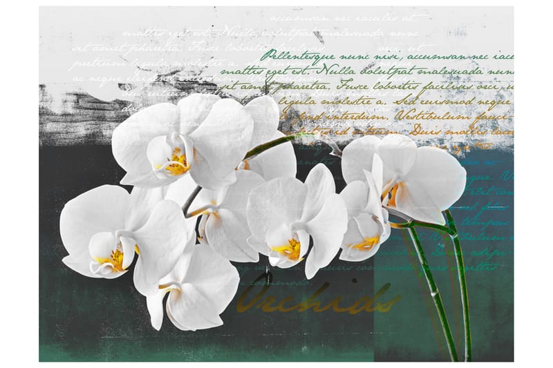 Fototapet Orkidé Poet Inspiration 300x231 - Artgeist sp. z o. o. - Inredning - Väggdekor - Tapet & tapettillbehör - Fototapet