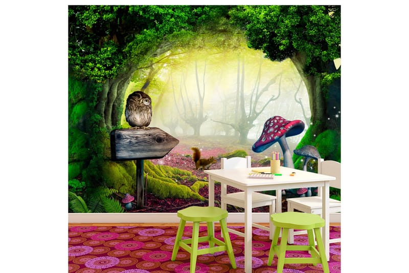 Fototapet Owlish Corner 350x245, Artgeist sp. z o. o.