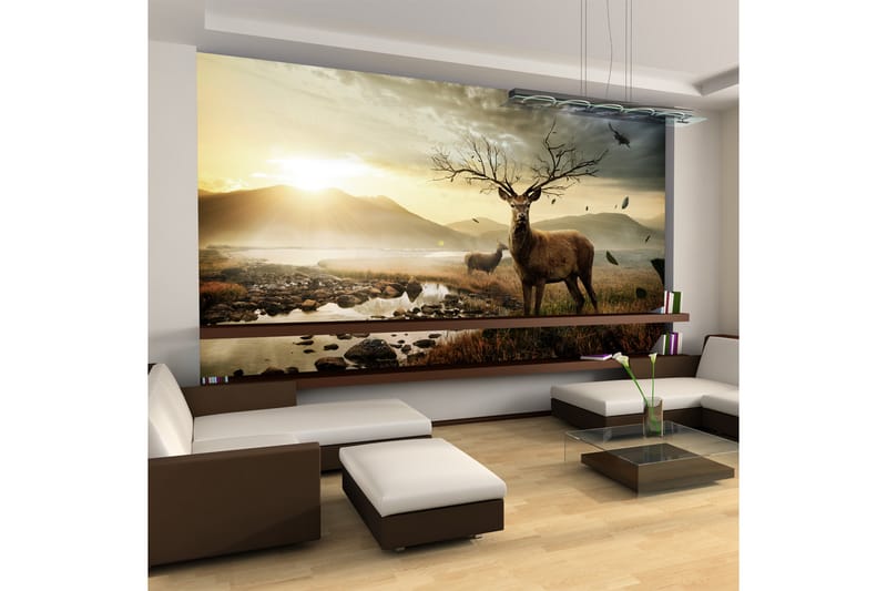 Fototapet Rådjur Med Fjällbäck 450x270 - Artgeist sp. z o. o. - Inredning - Väggdekor - Tapet & tapettillbehör - Fototapet