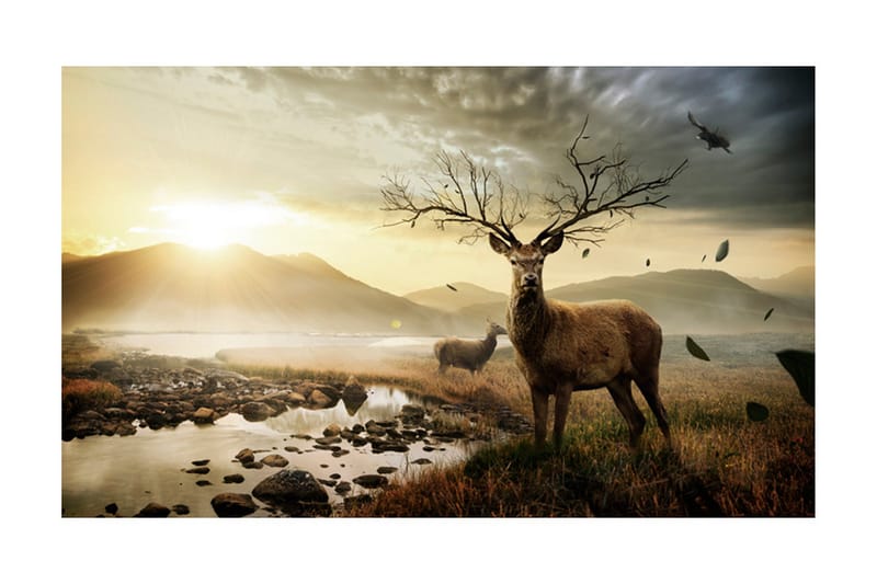 Fototapet Rådjur Med Fjällbäck 450x270 - Artgeist sp. z o. o. - Inredning - Väggdekor - Tapet & tapettillbehör - Fototapet