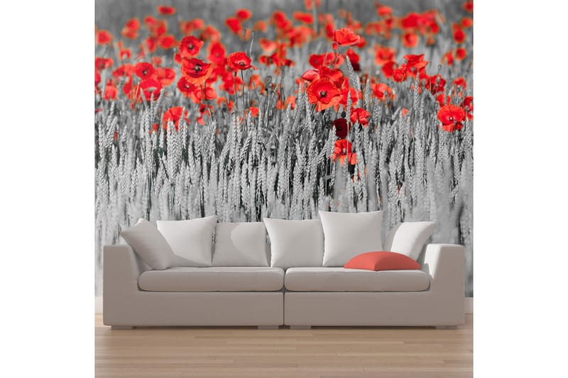 Fototapet Röd Vallmo På Svart Och Vit Bakgrund 450x270 - Artgeist sp. z o. o. - Inredning - Väggdekor - Tapet & tapettillbehör - Fototapet