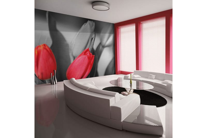 Fototapet Röda Tulpaner På Svart Och Vit Bakgrund 300x231, Artgeist sp. z o. o.