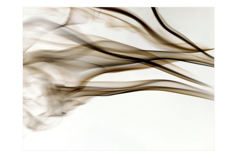 Fototapet Rök Abstrakt 200x154, Artgeist sp. z o. o.