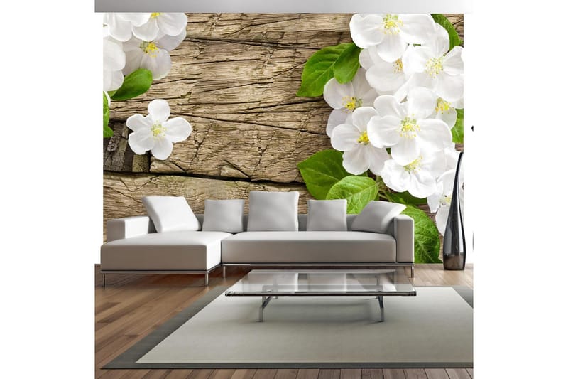 Fototapet Raw Beauty 300x210 - Artgeist sp. z o. o. - Inredning - Väggdekor - Tapet & tapettillbehör - Fototapet