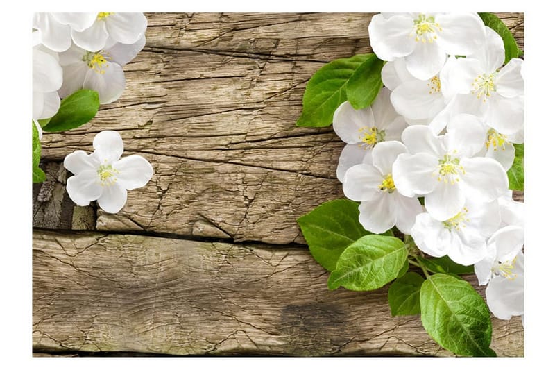 Fototapet Raw Beauty 350x245 - Artgeist sp. z o. o. - Inredning - Väggdekor - Tapet & tapettillbehör - Fototapet